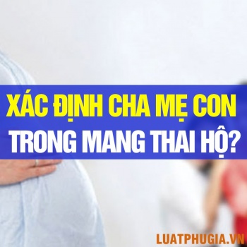 XÁC ĐỊNH CHA MẸ CON TRONG TRƯỜNG HỢP MANG THAI VÌ MỤC ĐÍCH NHÂN ĐẠO