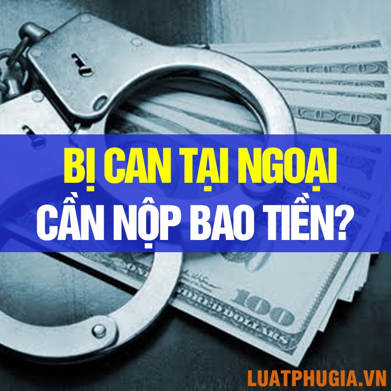ĐỂ BỊ CAN ĐƯỢC TẠI NGOẠI CẦN NỘP BAO NHIÊU TIỀN?